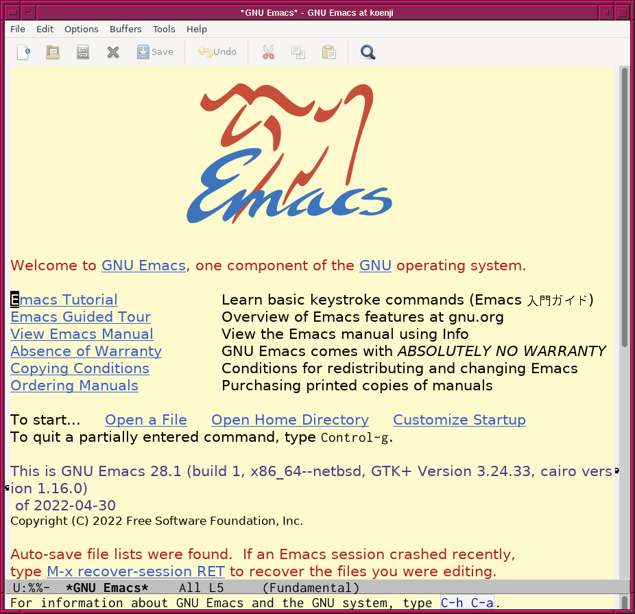 fig_202204/emacs28_20220430.png