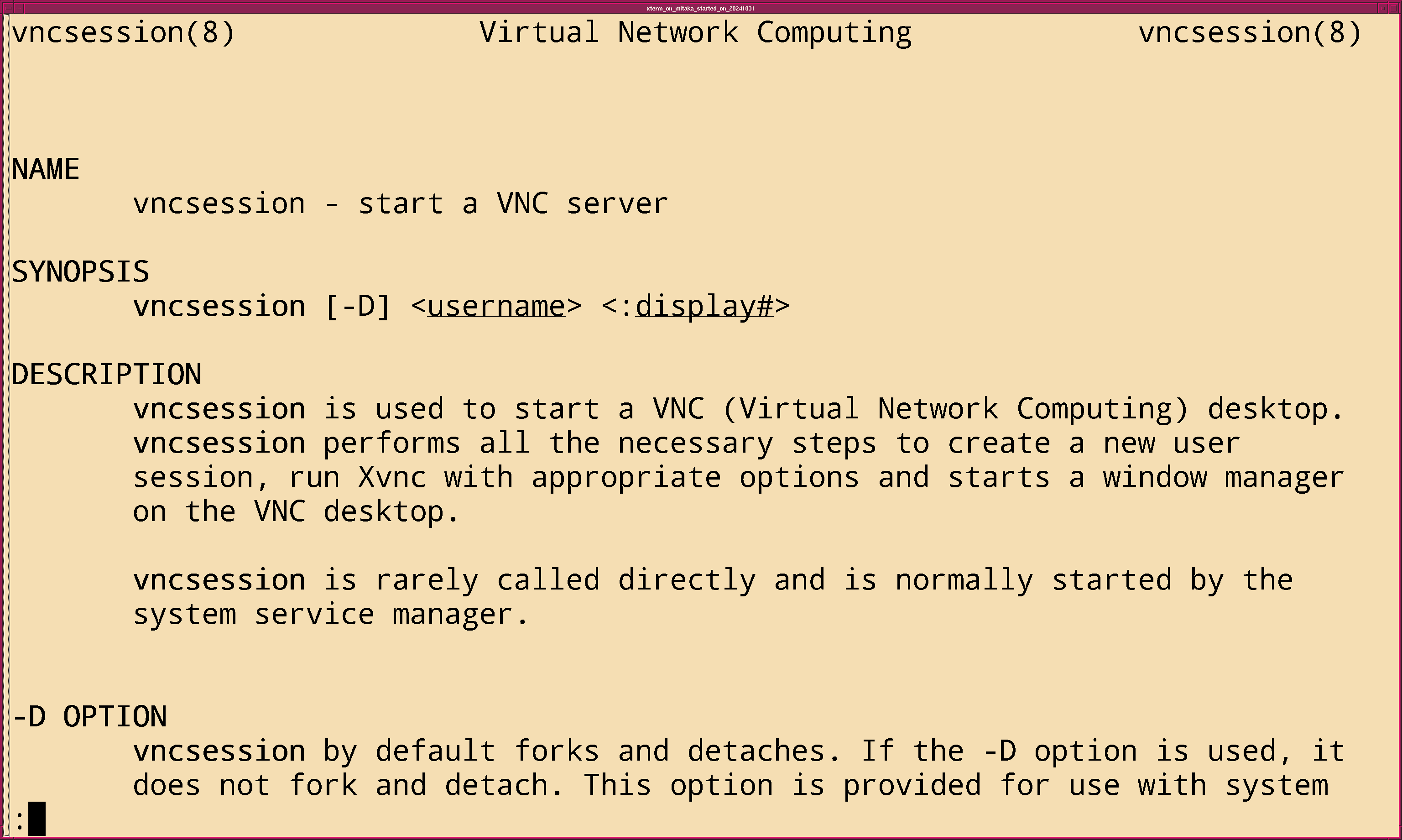 fig_202411/xterm_man_vncserver_00.png