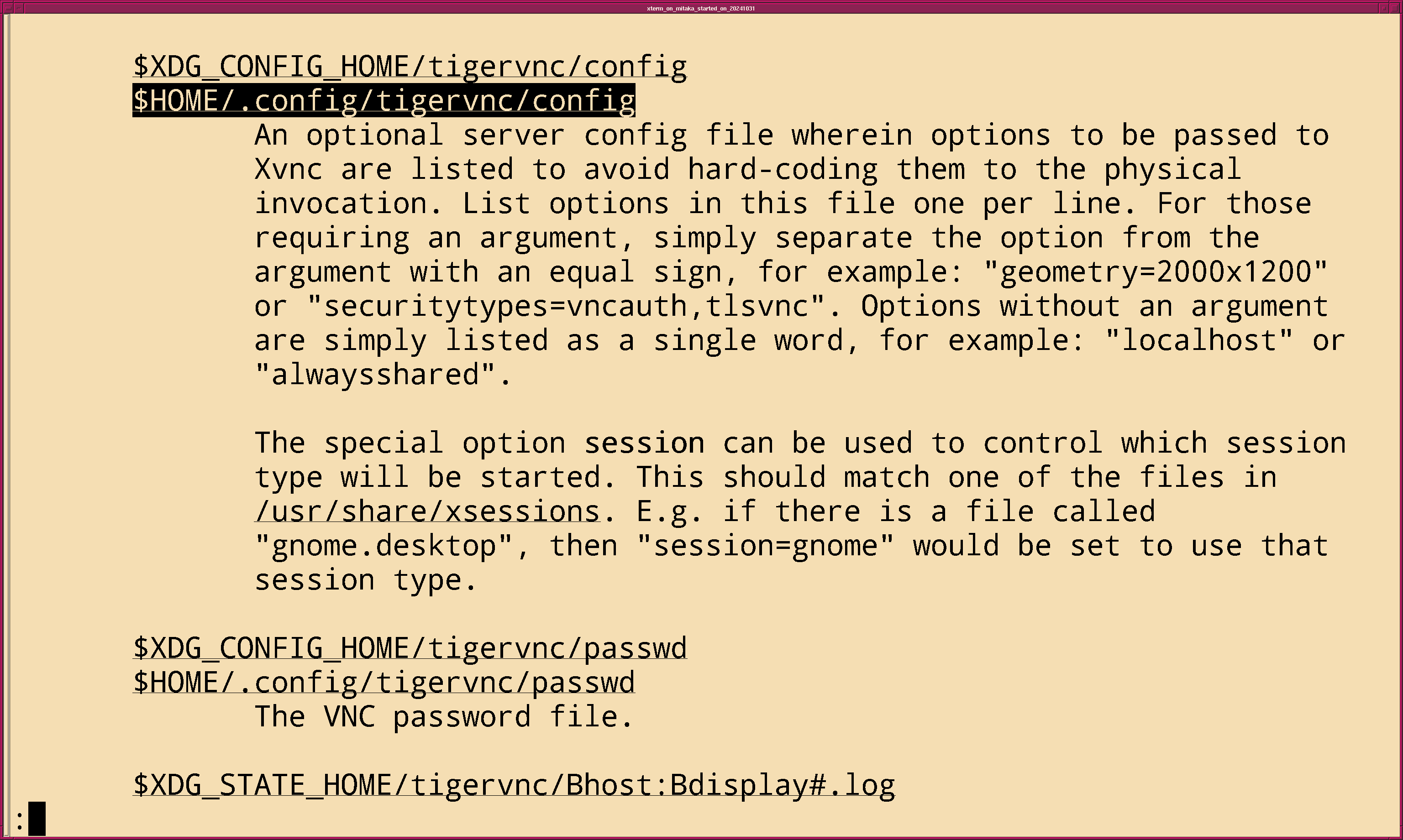fig_202411/xterm_man_vncserver_02.png