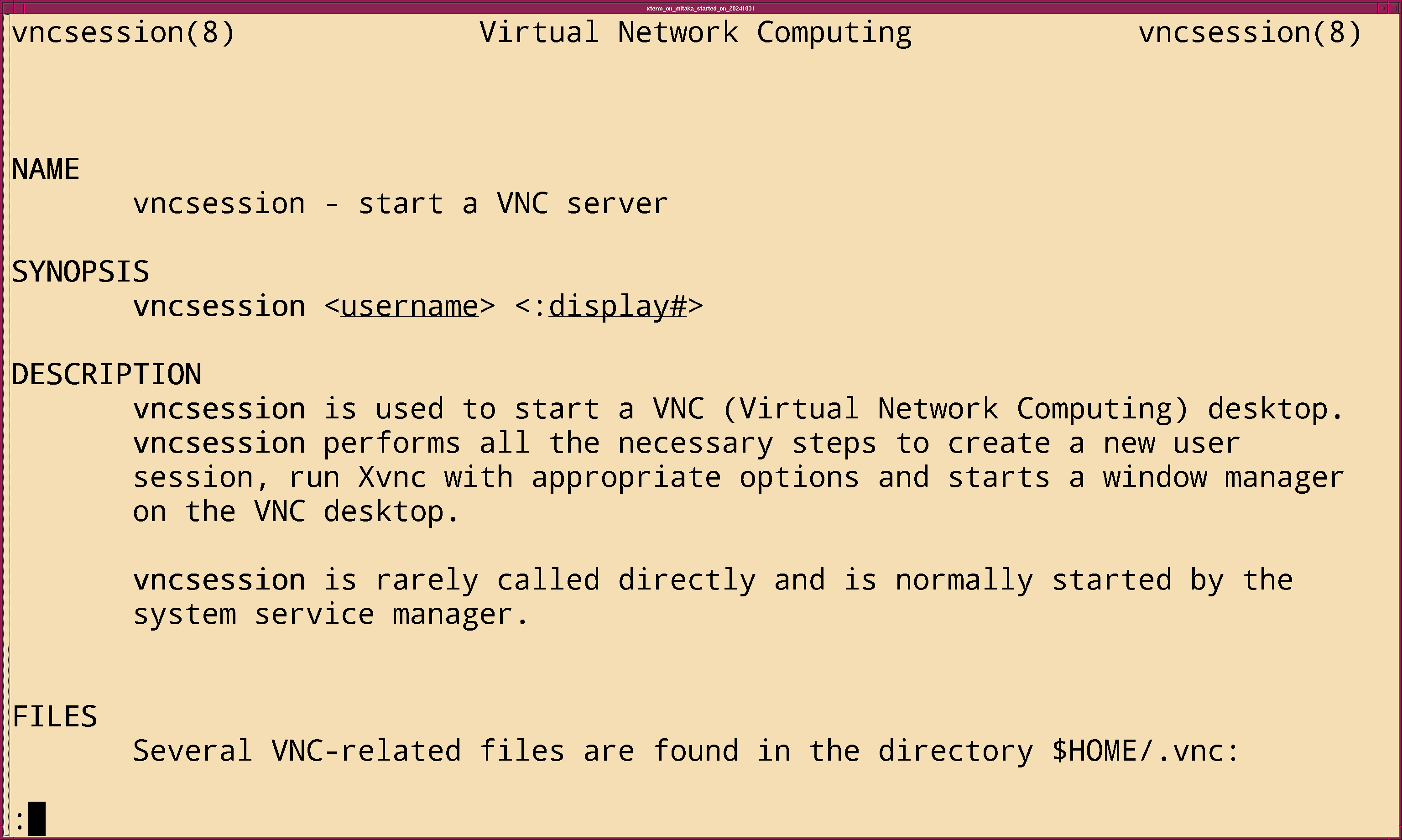 fig_202411/xterm_man_vncserver_03.png