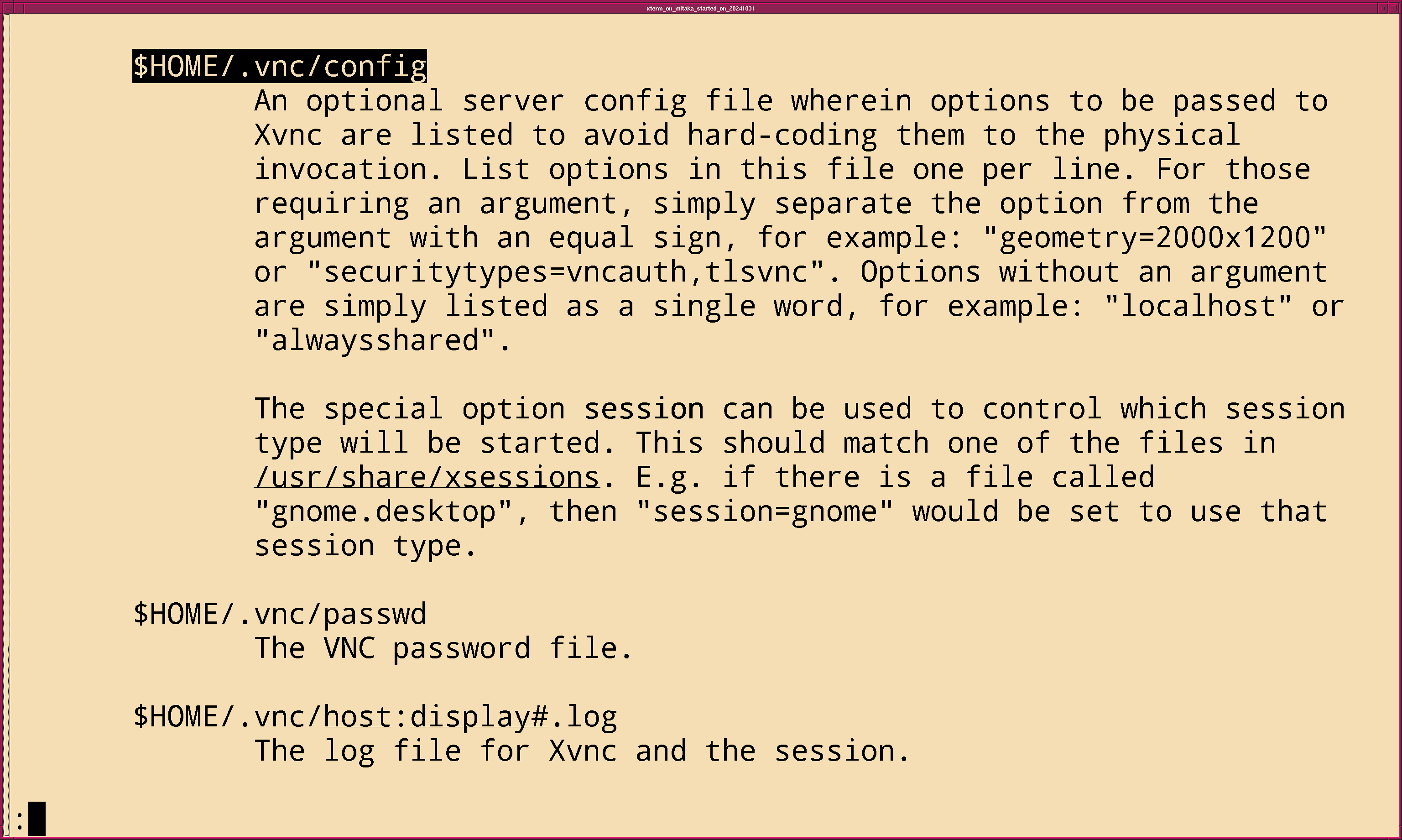 fig_202411/xterm_man_vncserver_05.png