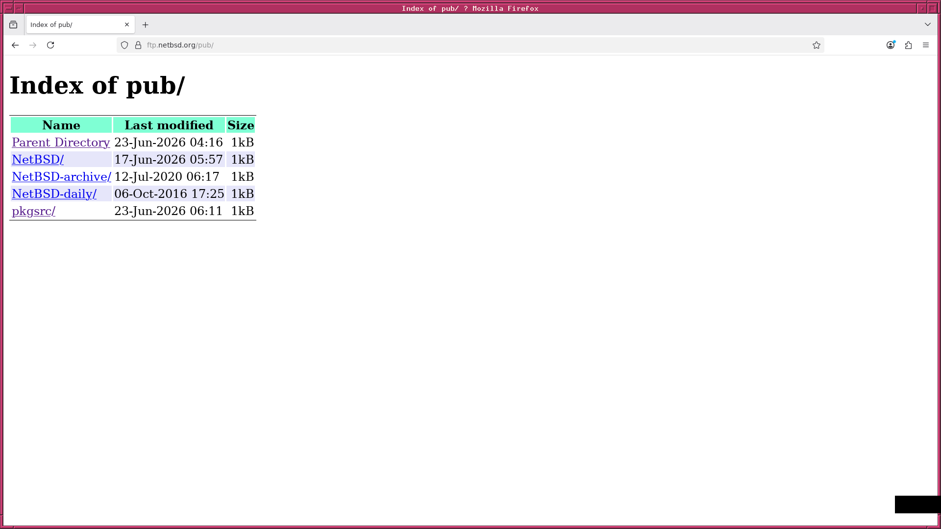 fig_202606/www_pkgsrc_01.png